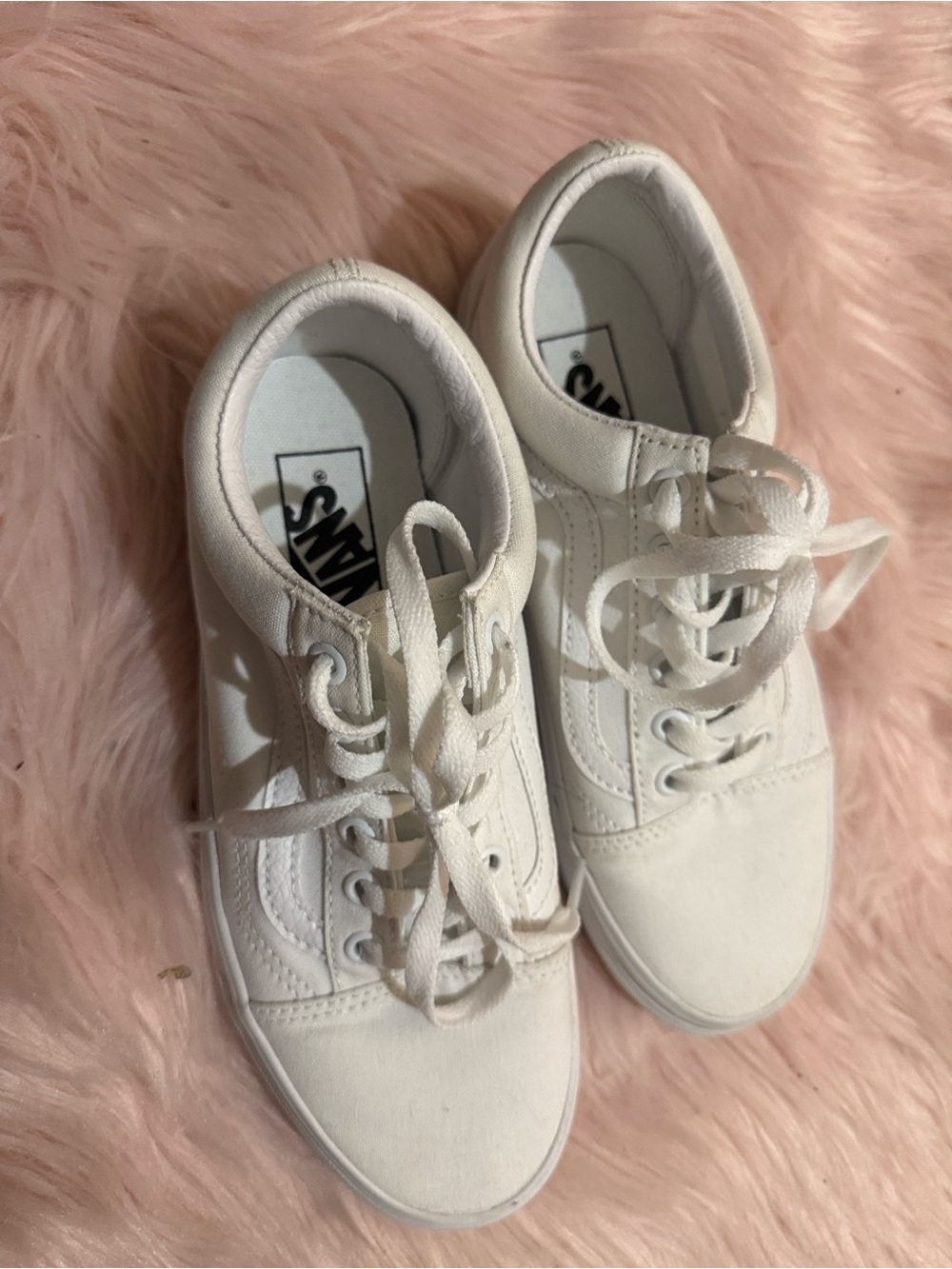 Vans Old Skool Shoe